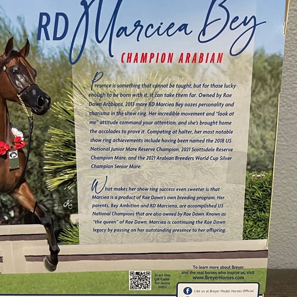 Breyer RD Marciea Bey Mare 1:9 Scale Arabian Brown Horse Collectable Horse - Picture 5 of 6